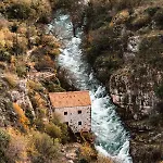 Bliss Drniš