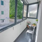 Bliss Apartamento